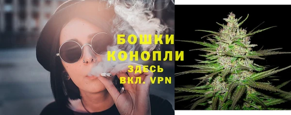 спиды Горно-Алтайск