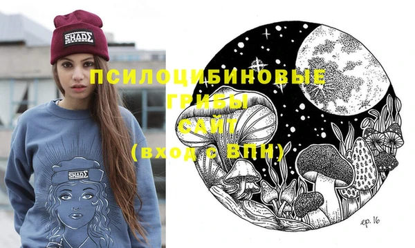 хмурый Гусиноозёрск